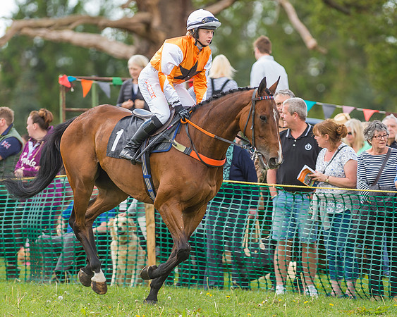 SEHC Novice and Veteran Riders Race