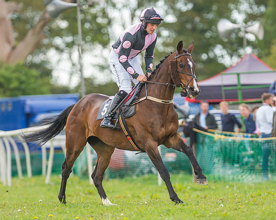 SEHC Novice and Veteran Riders Race