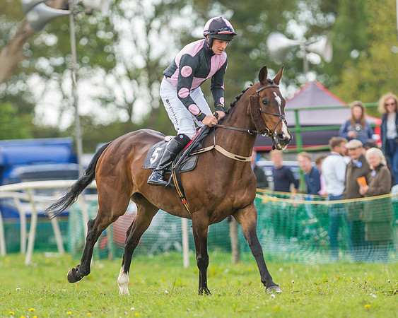 SEHC Novice and Veteran Riders Race
