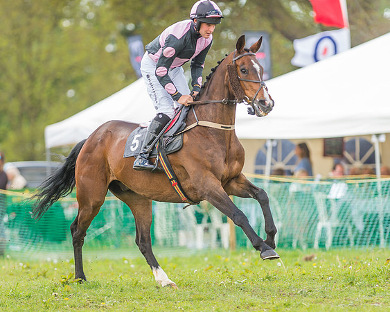 SEHC Novice and Veteran Riders Race