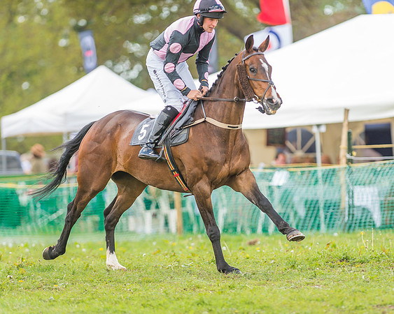 SEHC Novice and Veteran Riders Race