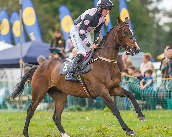 SEHC Novice and Veteran Riders Race