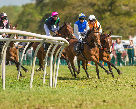 SEHC Novice and Veteran Riders Race