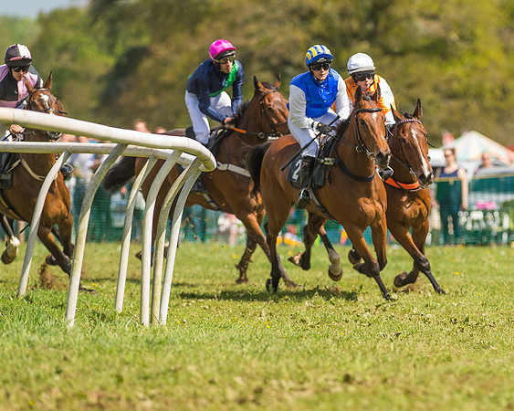 SEHC Novice and Veteran Riders Race