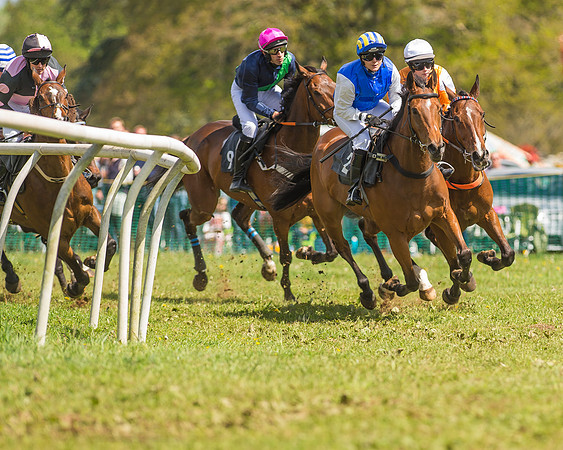 SEHC Novice and Veteran Riders Race