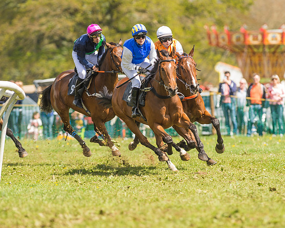 SEHC Novice and Veteran Riders Race