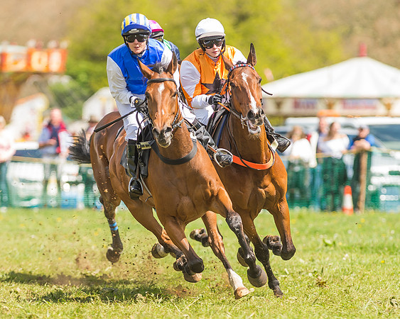 SEHC Novice and Veteran Riders Race