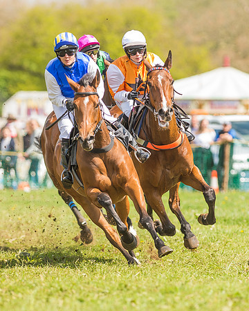 SEHC Novice and Veteran Riders Race