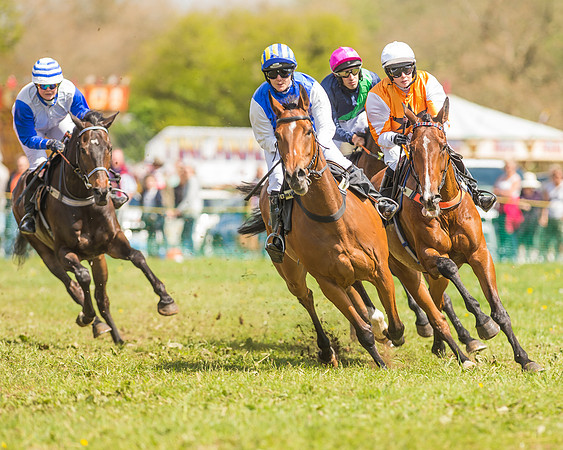SEHC Novice and Veteran Riders Race