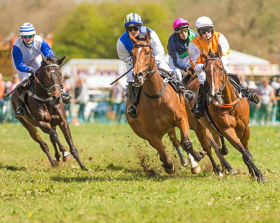 SEHC Novice and Veteran Riders Race