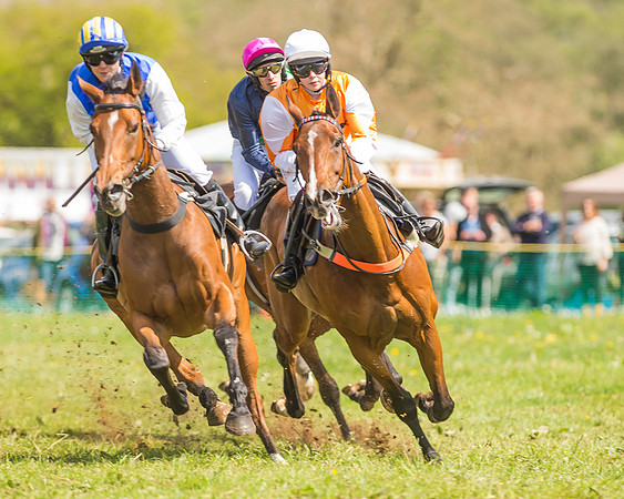 SEHC Novice and Veteran Riders Race