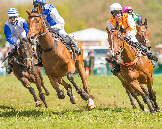 SEHC Novice and Veteran Riders Race