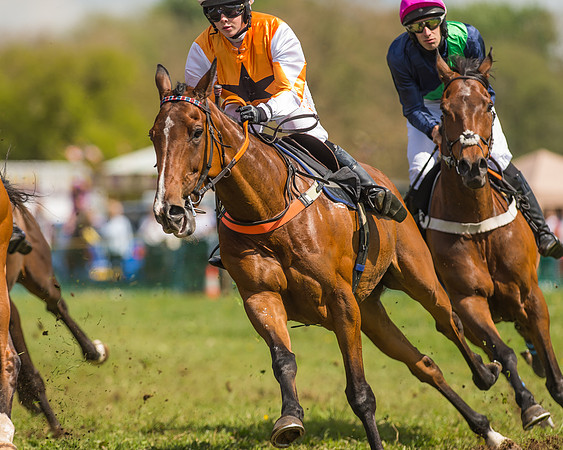 SEHC Novice and Veteran Riders Race
