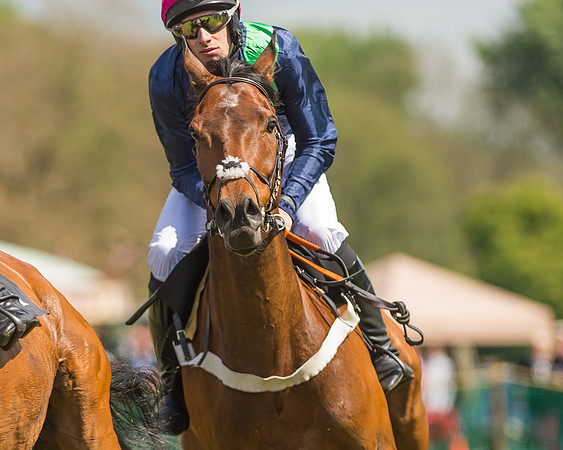 SEHC Novice and Veteran Riders Race