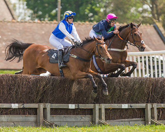 SEHC Novice and Veteran Riders Race