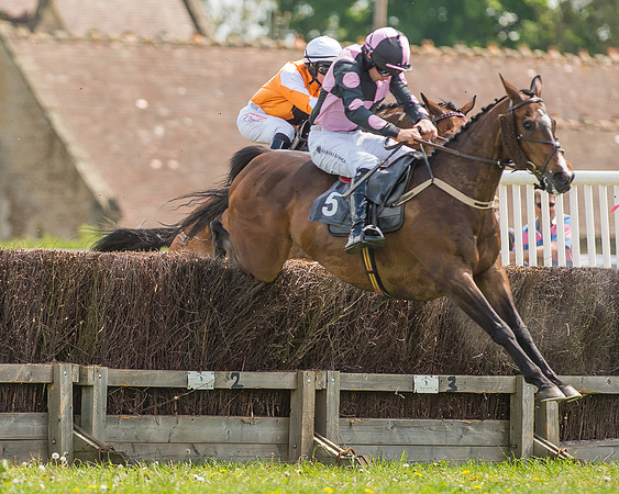 SEHC Novice and Veteran Riders Race