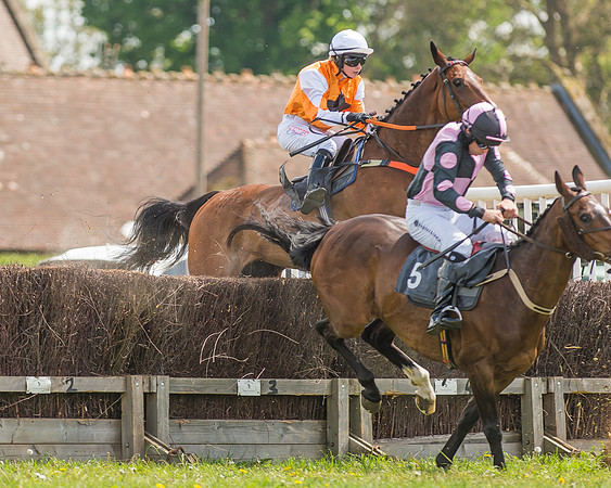 SEHC Novice and Veteran Riders Race