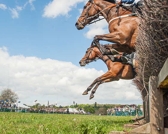 SEHC Novice and Veteran Riders Race