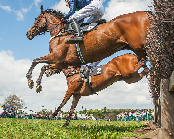 SEHC Novice and Veteran Riders Race