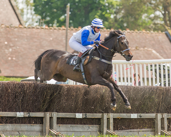 SEHC Novice and Veteran Riders Race