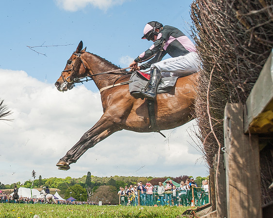 SEHC Novice and Veteran Riders Race