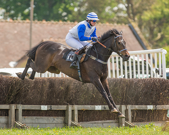 SEHC Novice and Veteran Riders Race