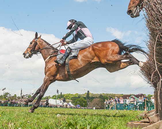 SEHC Novice and Veteran Riders Race