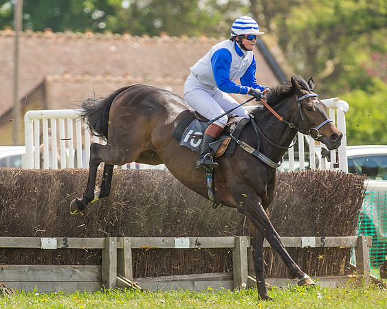 SEHC Novice and Veteran Riders Race