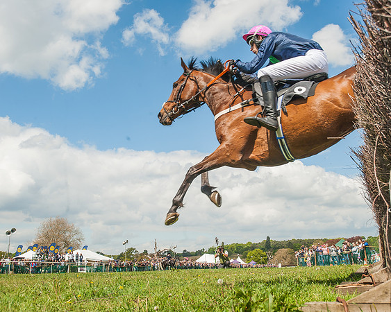 SEHC Novice and Veteran Riders Race