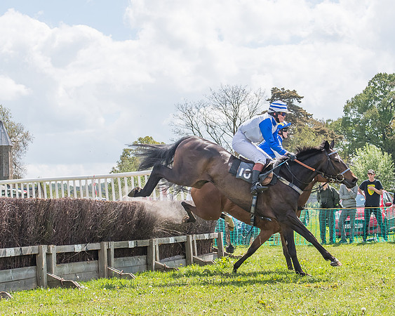 SEHC Novice and Veteran Riders Race