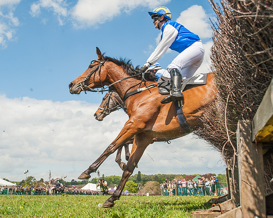 SEHC Novice and Veteran Riders Race