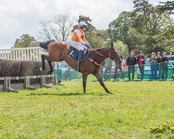 SEHC Novice and Veteran Riders Race