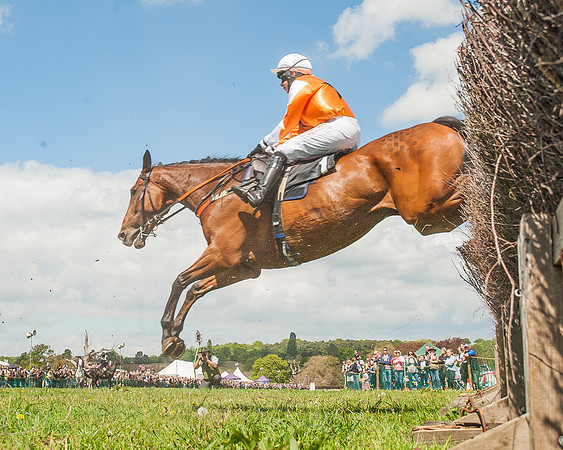 SEHC Novice and Veteran Riders Race