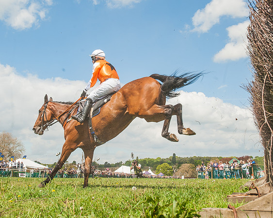 SEHC Novice and Veteran Riders Race