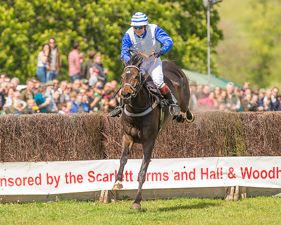 SEHC Novice and Veteran Riders Race