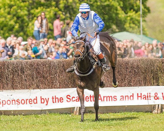 SEHC Novice and Veteran Riders Race