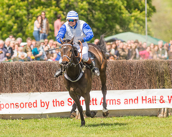 SEHC Novice and Veteran Riders Race