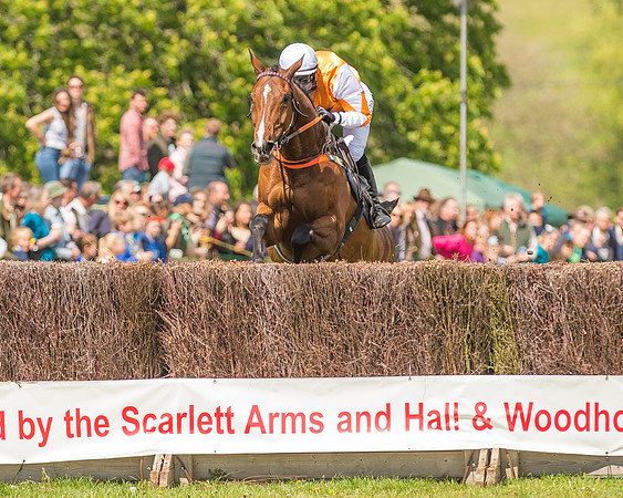 SEHC Novice and Veteran Riders Race
