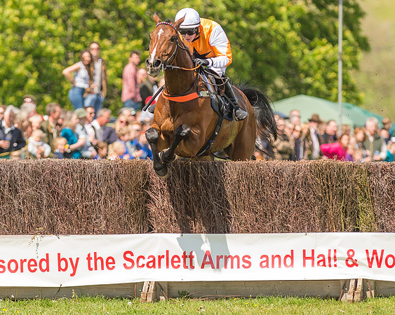 SEHC Novice and Veteran Riders Race