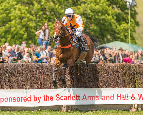SEHC Novice and Veteran Riders Race
