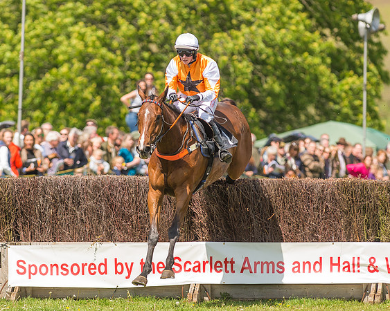 SEHC Novice and Veteran Riders Race