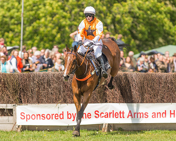 SEHC Novice and Veteran Riders Race