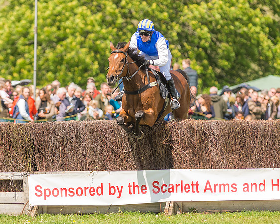 SEHC Novice and Veteran Riders Race