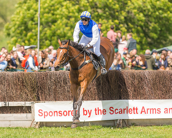 SEHC Novice and Veteran Riders Race