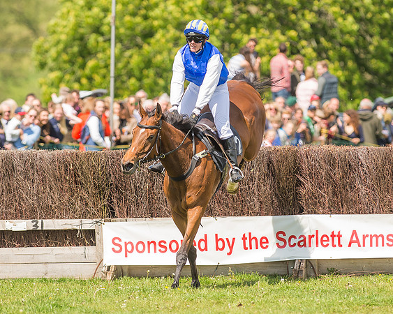 SEHC Novice and Veteran Riders Race