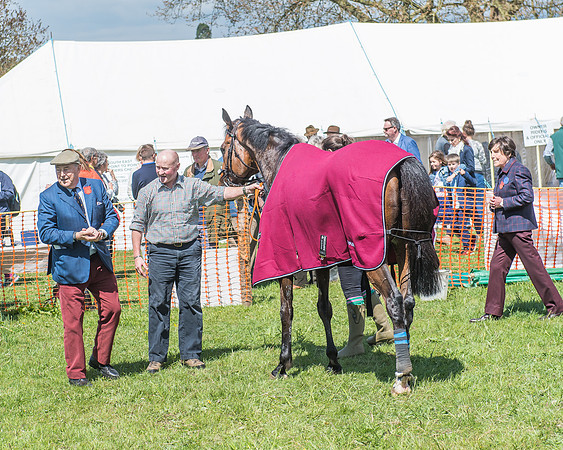 SEHC Novice and Veteran Riders Race
