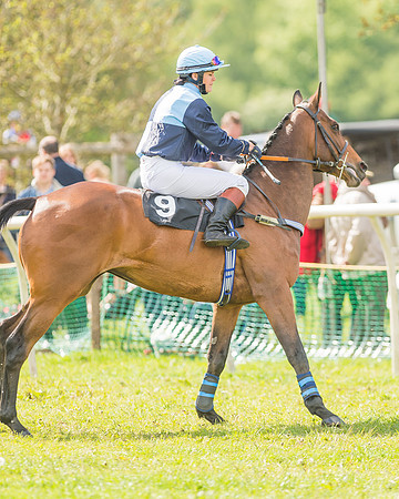 Race 3 - The Ladies Open-8