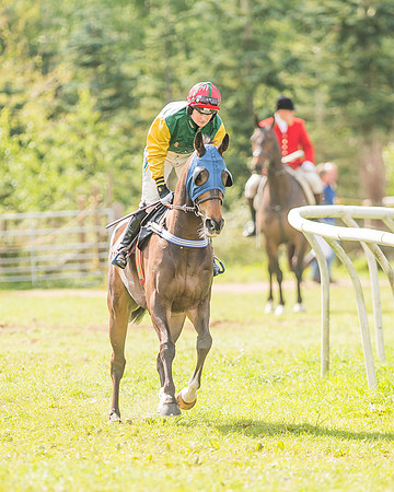Race 3 - The Ladies Open-15