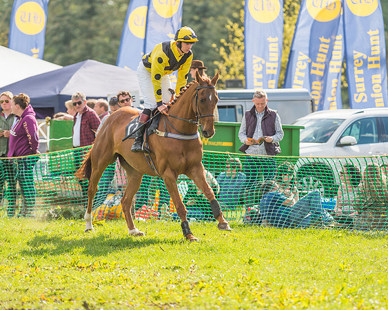 The South East Hunts Club Members conditions Race