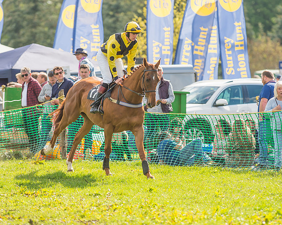 The South East Hunts Club Members conditions Race